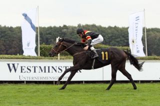 Westminster ist Partner der Ikone Hoppegarten Westminster ist Partner der Ikone Hoppegarten